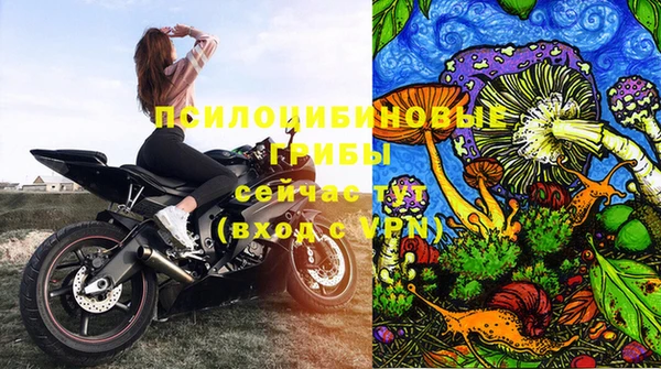 скорость Медвежьегорск