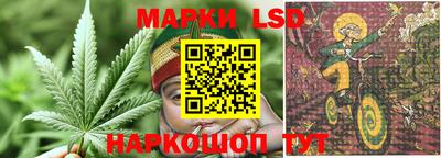 МДПВ Моздок