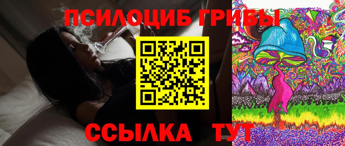 Великий Новгород  Псилоцибиновые грибы Psilocybine cubensis  Вход с VPN 