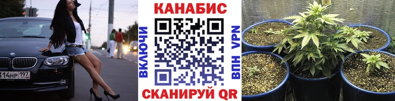 mega зеркало  что такое   Великий Новгород  Шишки марихуана планчик 